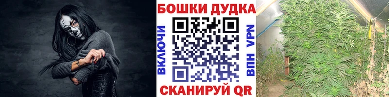 Где найти наркотики Николаевск-на-Амуре Кокаин  Меф  ГАШ  Амфетамин  Конопля 