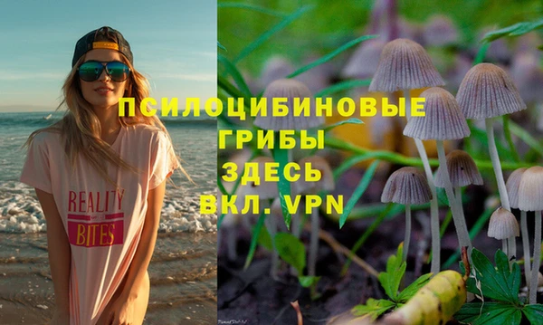 скорость mdpv Белокуриха