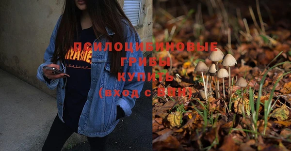 прущая мука Беломорск