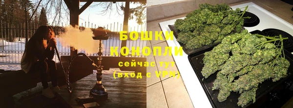 PSILOCYBIN Белоозёрский